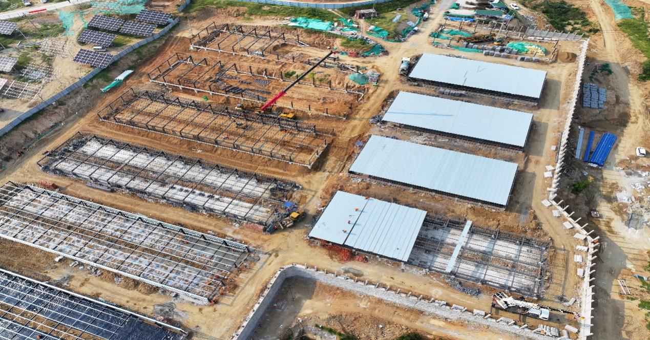 97622��������Ʒ��(�й���)-�ٷ���վ