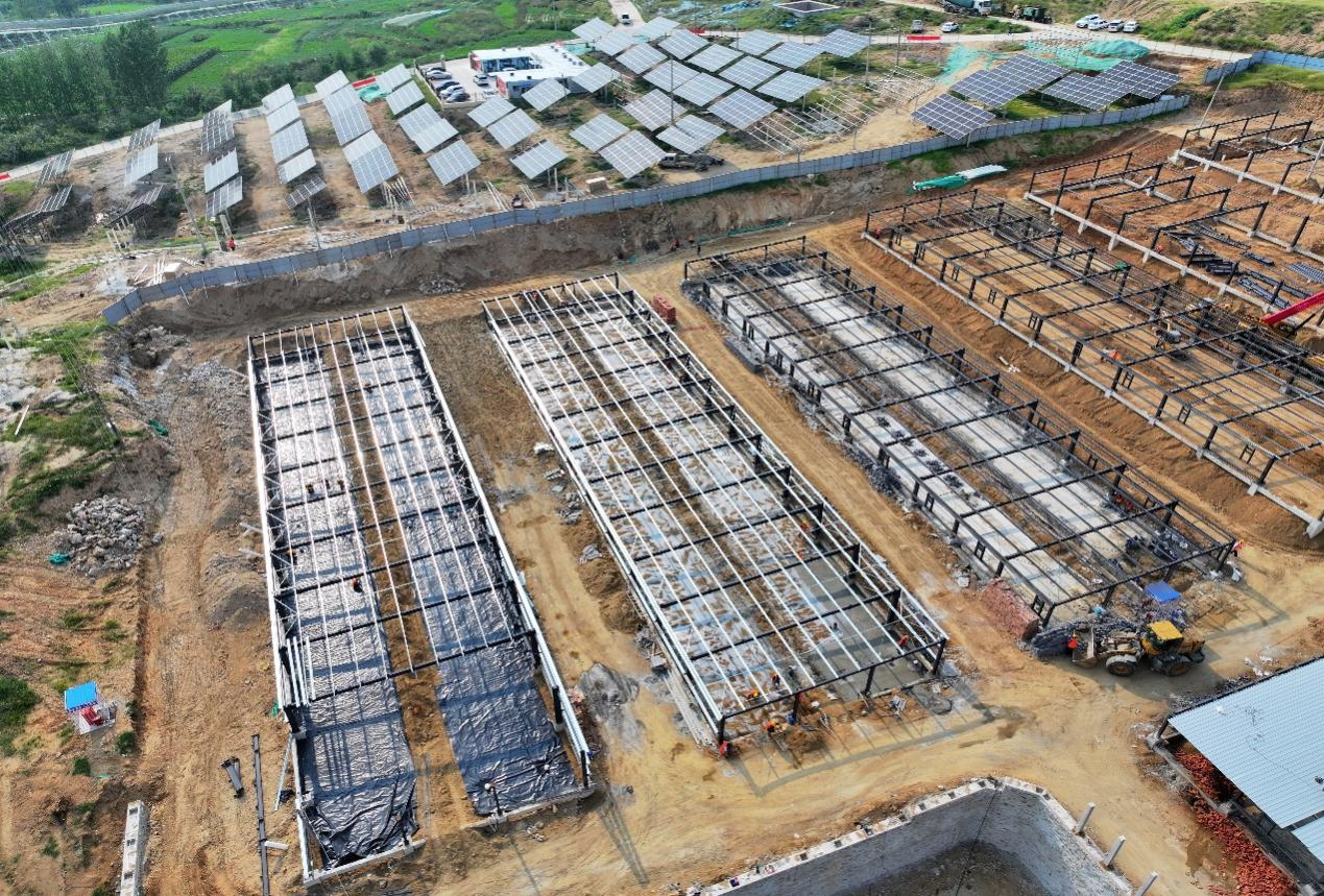 97622��������Ʒ��(�й���)-�ٷ���վ