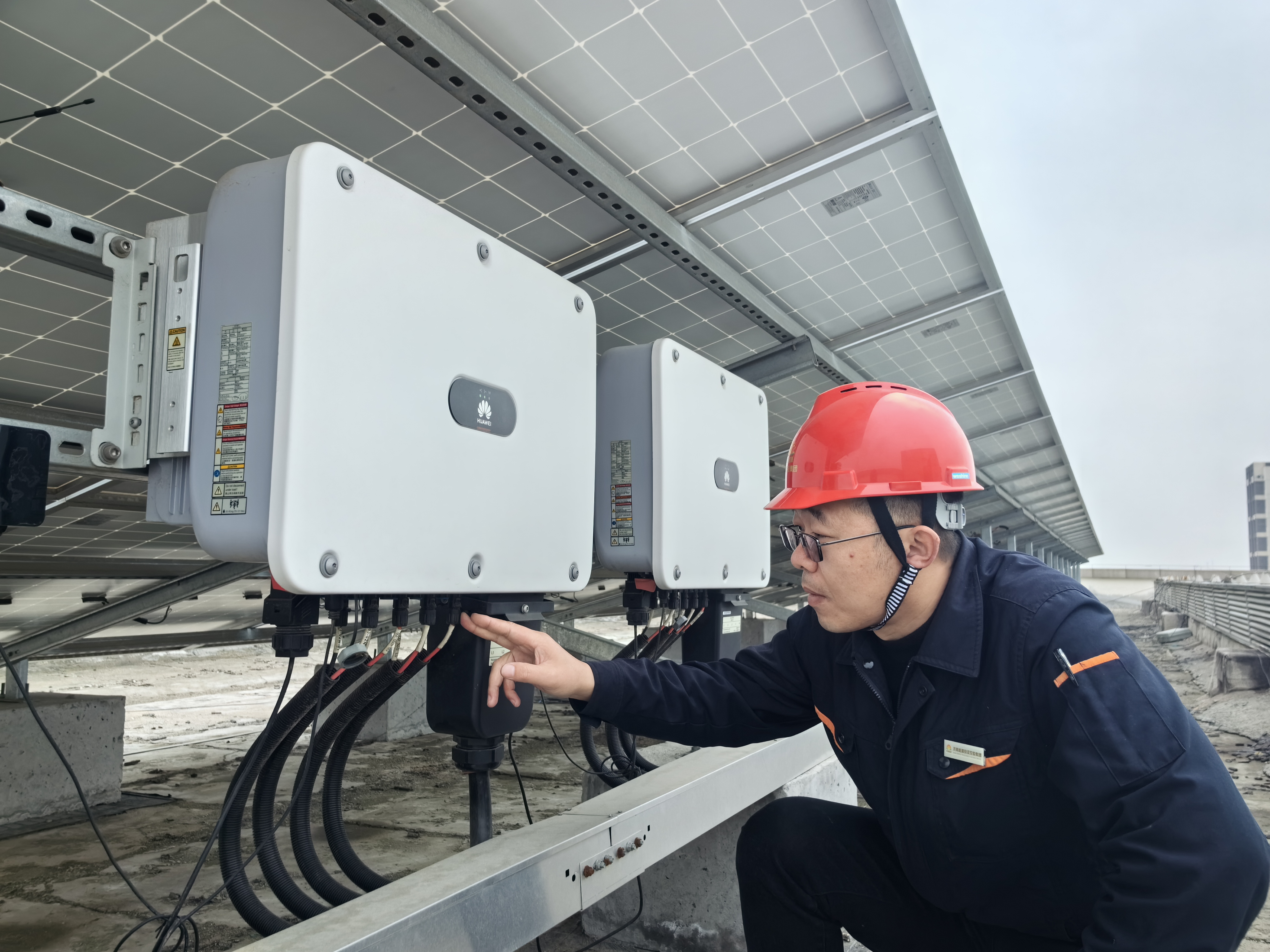 97622��������Ʒ��(�й���)-�ٷ���վ