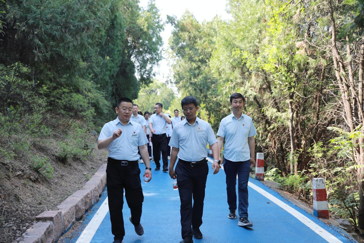 97622��������Ʒ��(�й���)-�ٷ���վ