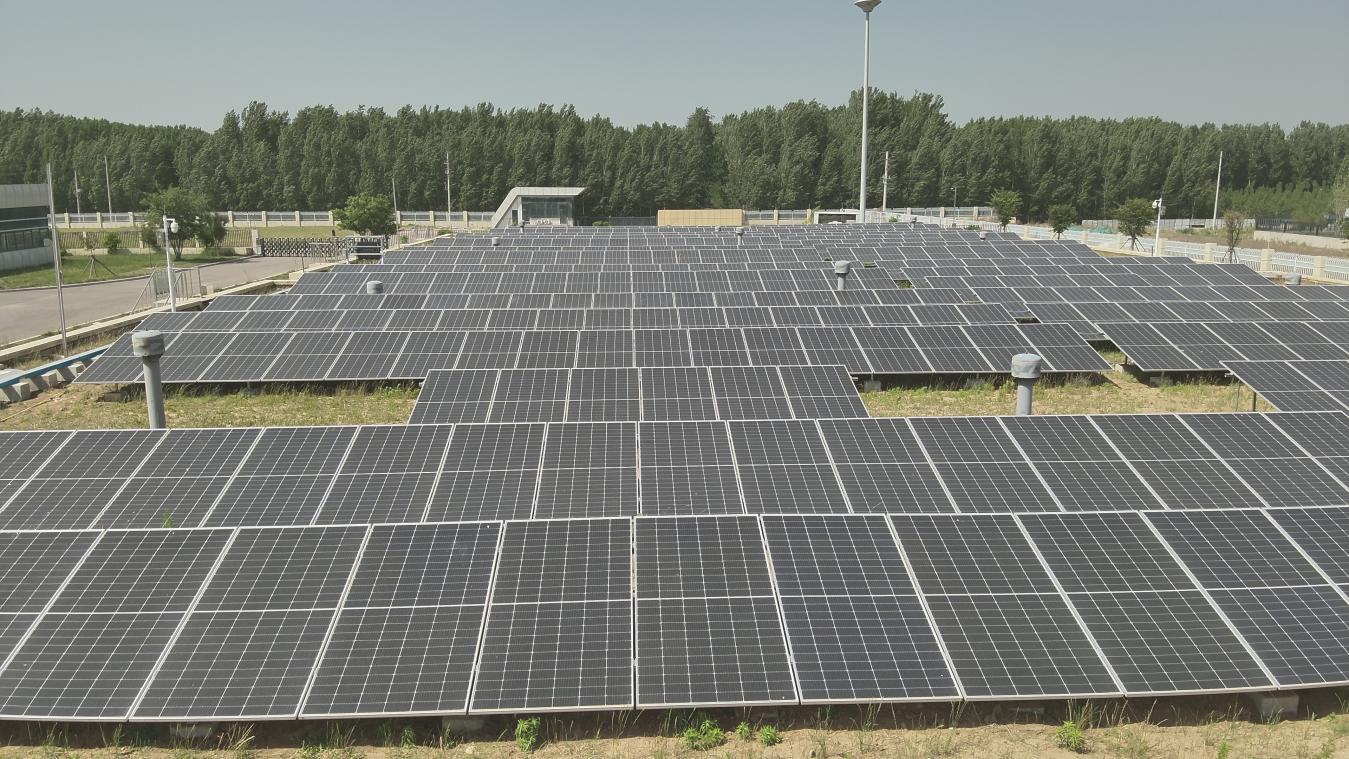 97622��������Ʒ��(�й���)-�ٷ���վ