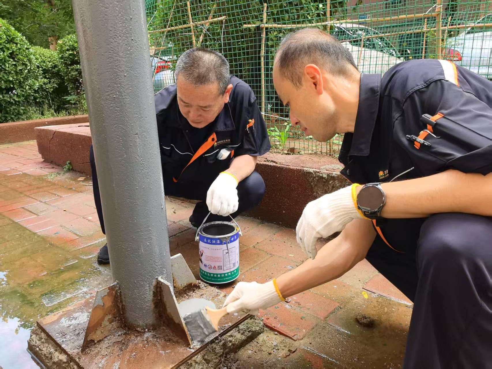 97622��������Ʒ��(�й���)-�ٷ���վ