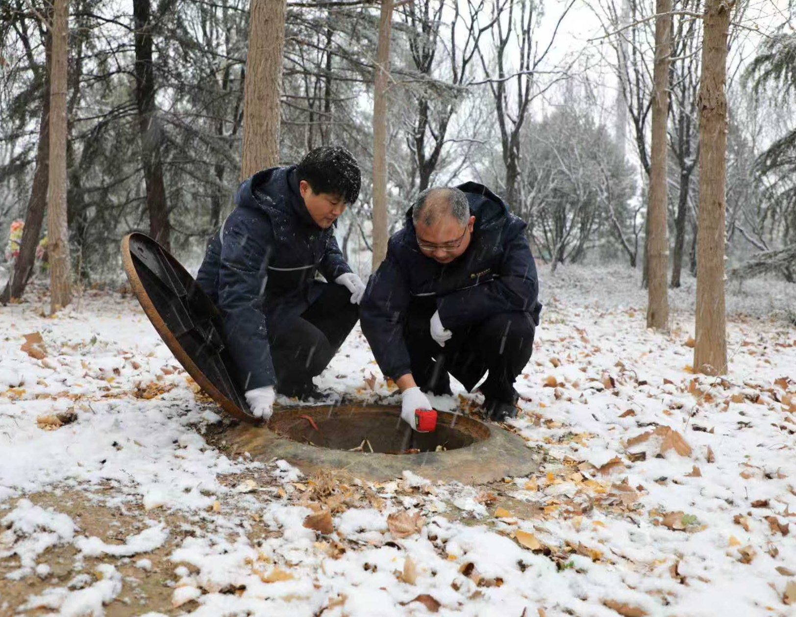 97622��������Ʒ��(�й���)-�ٷ���վ