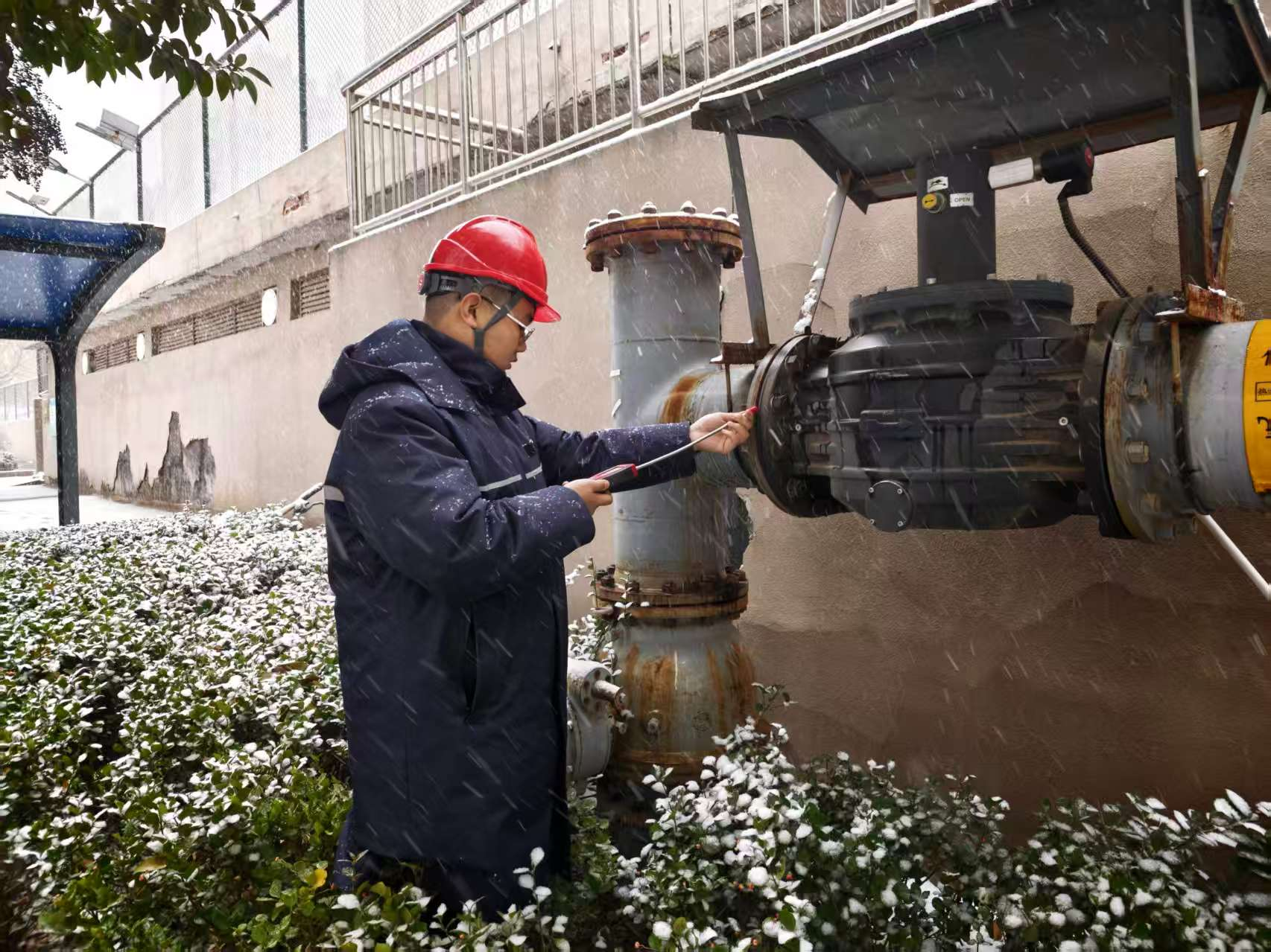 97622��������Ʒ��(�й���)-�ٷ���վ