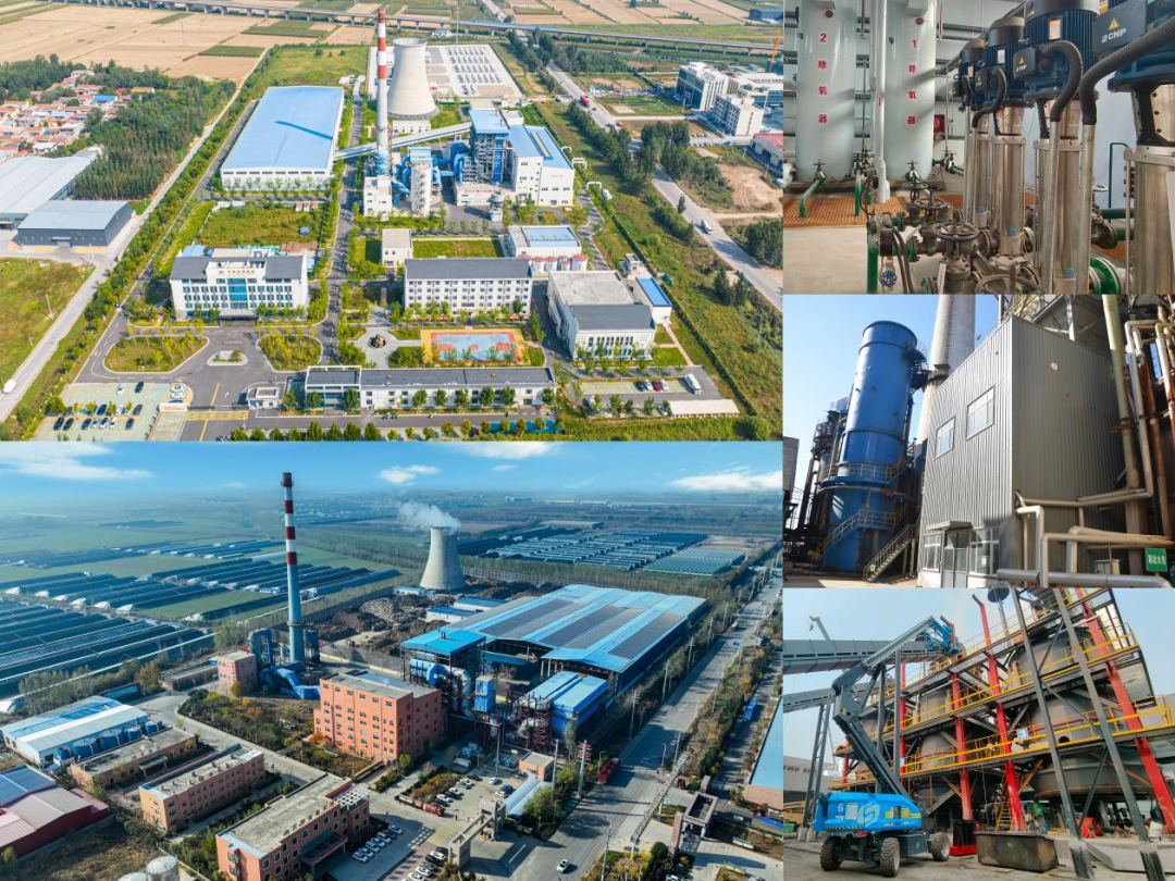 97622��������Ʒ��(�й���)-�ٷ���վ